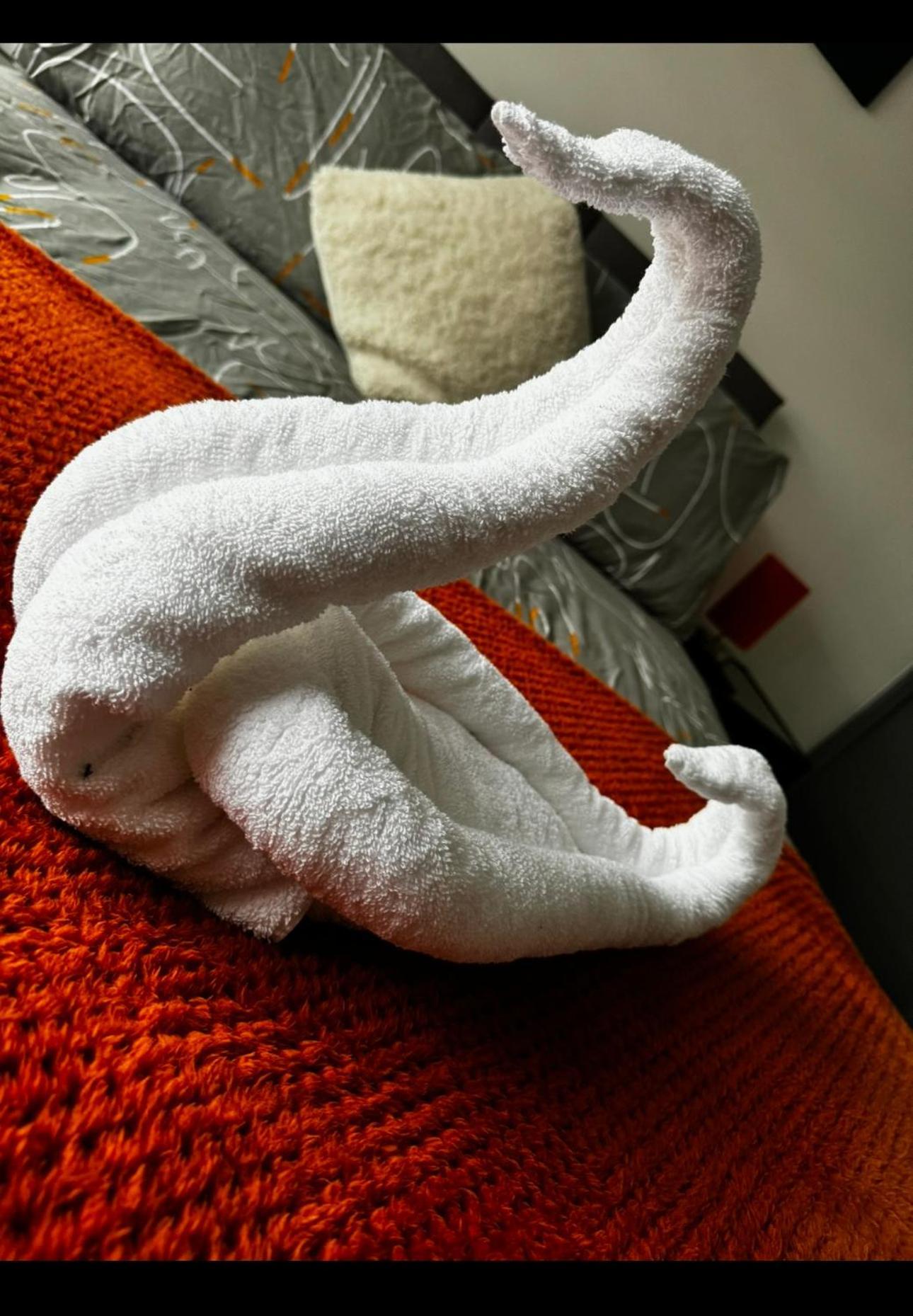 Melville House - Pet Friendly 블랙풀 외부 사진